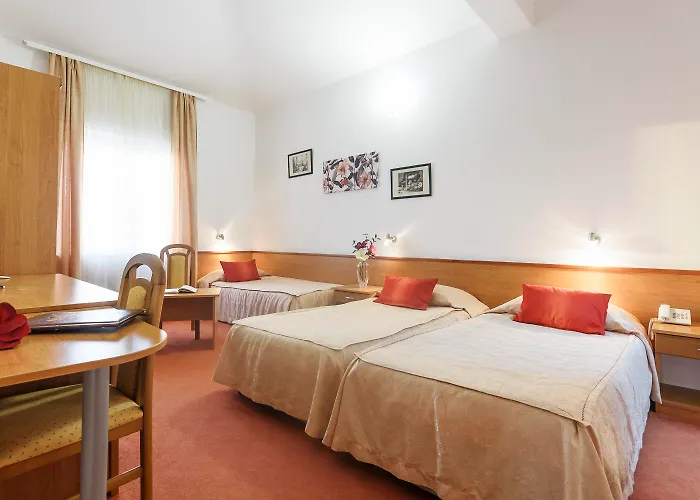 Guest house Vicko 4*