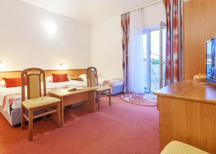 Guest house Vicko Starigrad Paklenica