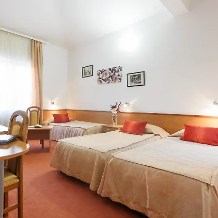 招待所 维科酒店 4*